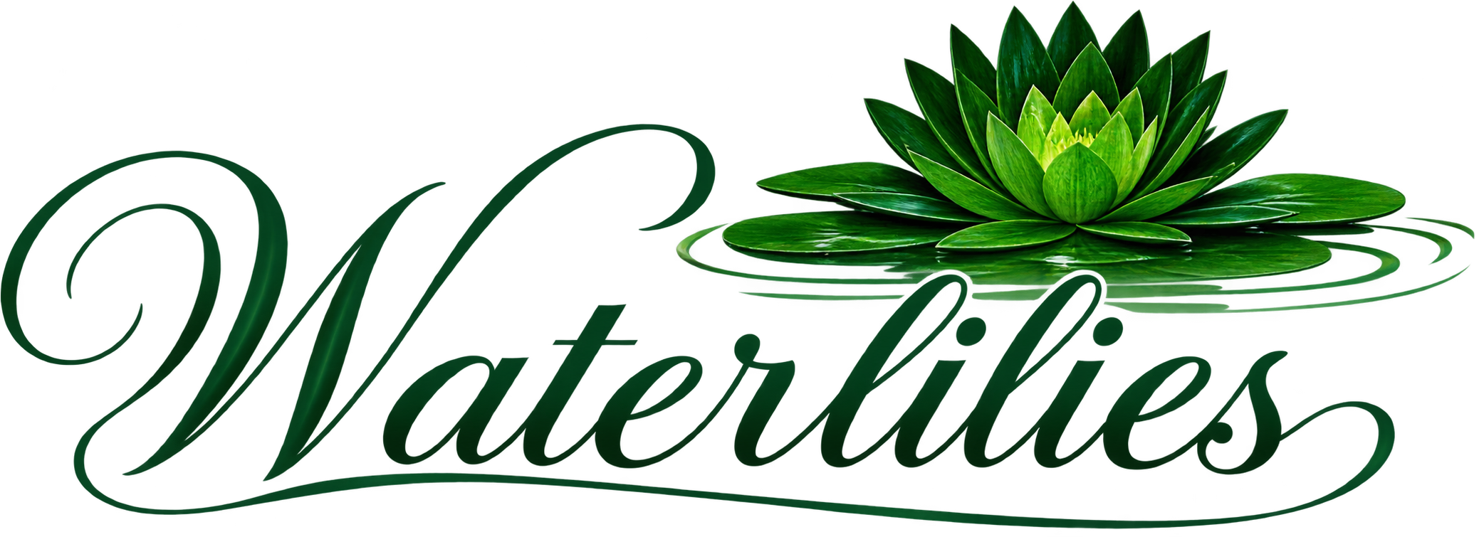 WATERLILIES Nigeria Ltd logo